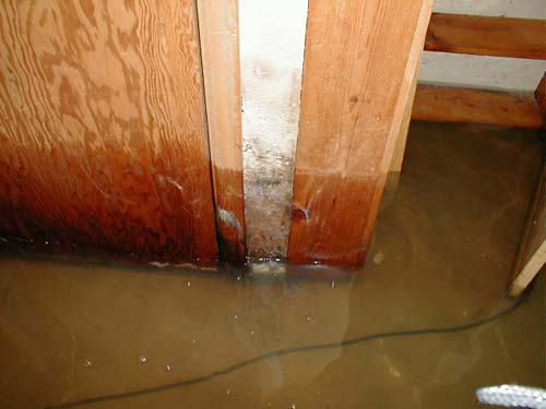 Water damage claims